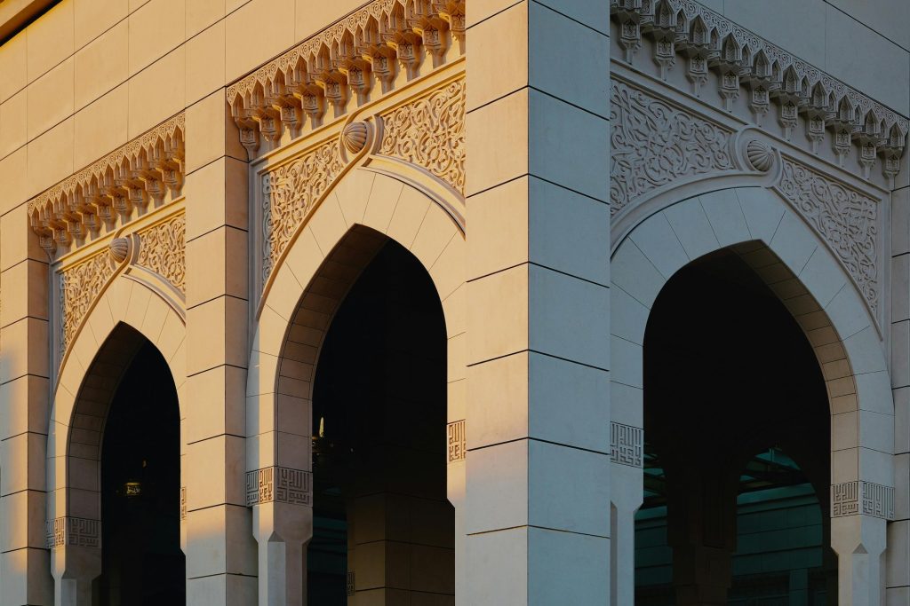 pexels apyfz 34534744 (1)